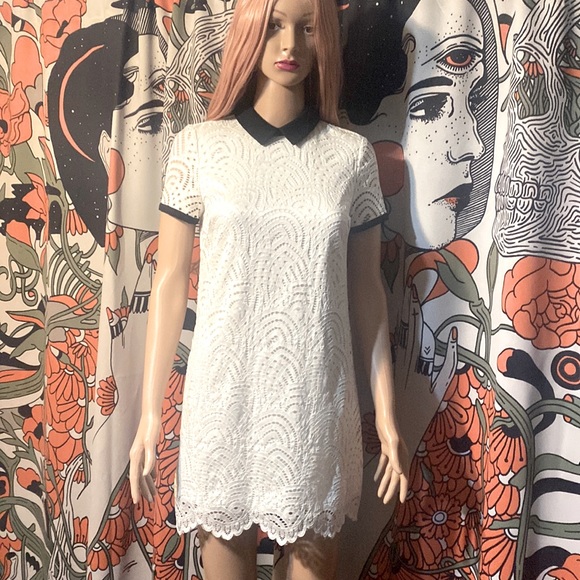Forever 21 Colorblock Collar Lace Dress - Picture 1 of 7